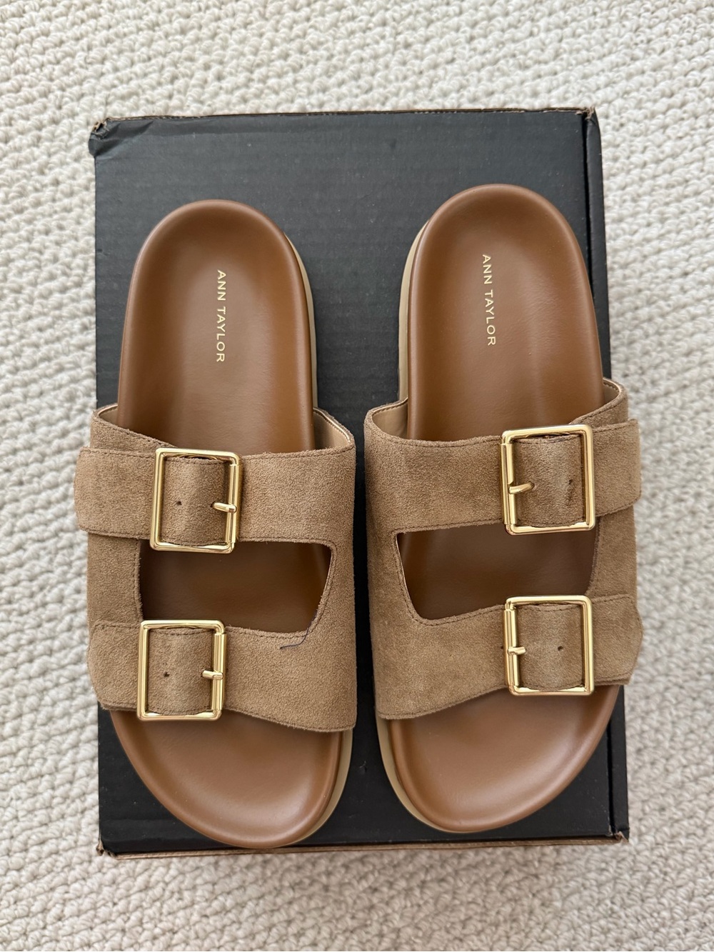 Ann Taylor - Women’s Suede Double-Buckle Slide Sandals in Tan (7)